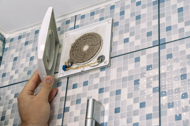 Best Home Air Vent Cleaning  in Valley, NE
