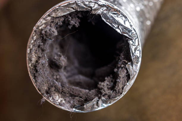 Best Ventilation Cleaning Services  in Valley, NE