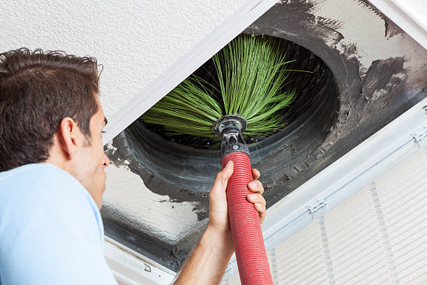 Best Local Air Duct Cleaning Services  in Valley, NE